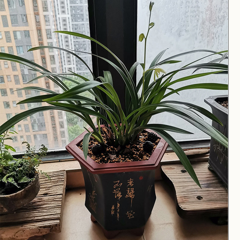 Ethnic Style Medium Purple Sand Planter Stone Chita Pot