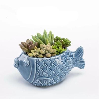 Stone Ocean Decor Set Fish Coral Starfish Shell Pieces