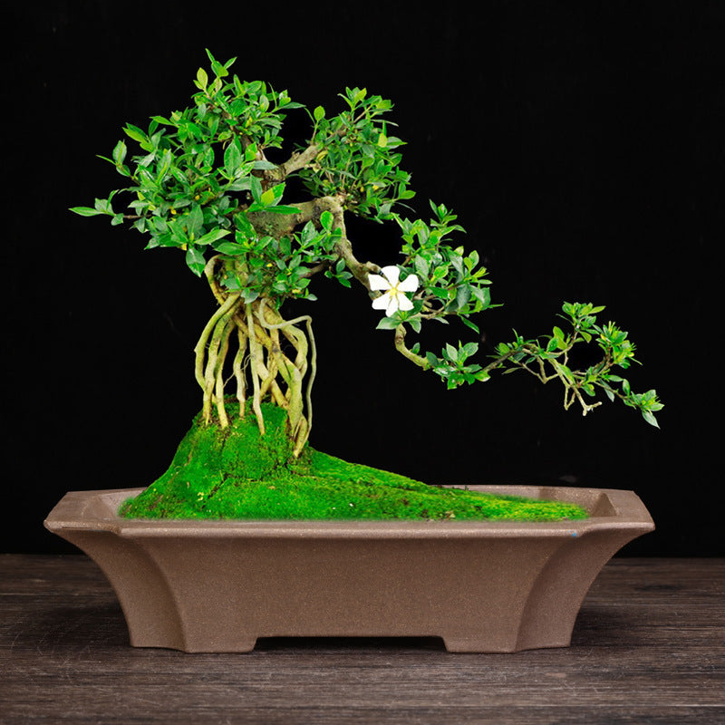 Handmade Chinese Style Ceramic Stone Flower Pot for Garden & Home