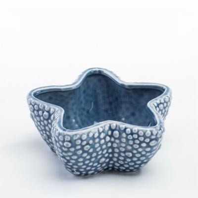 Stone Ocean Decor Set  Fish Coral Starfish Shell Pieces