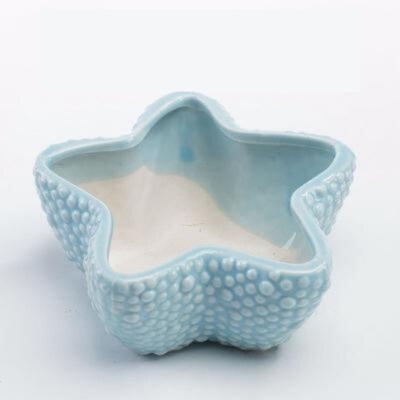 Stone Ocean Decor Set  Fish Coral Starfish Shell Pieces