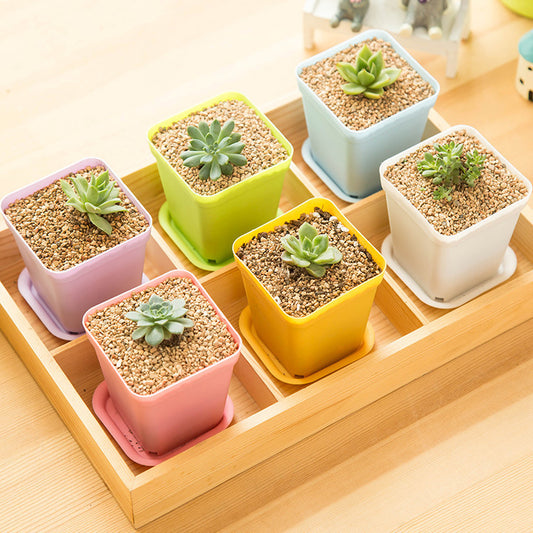 Compact Plastic Planter Pot Long Lasting Small Garden Container