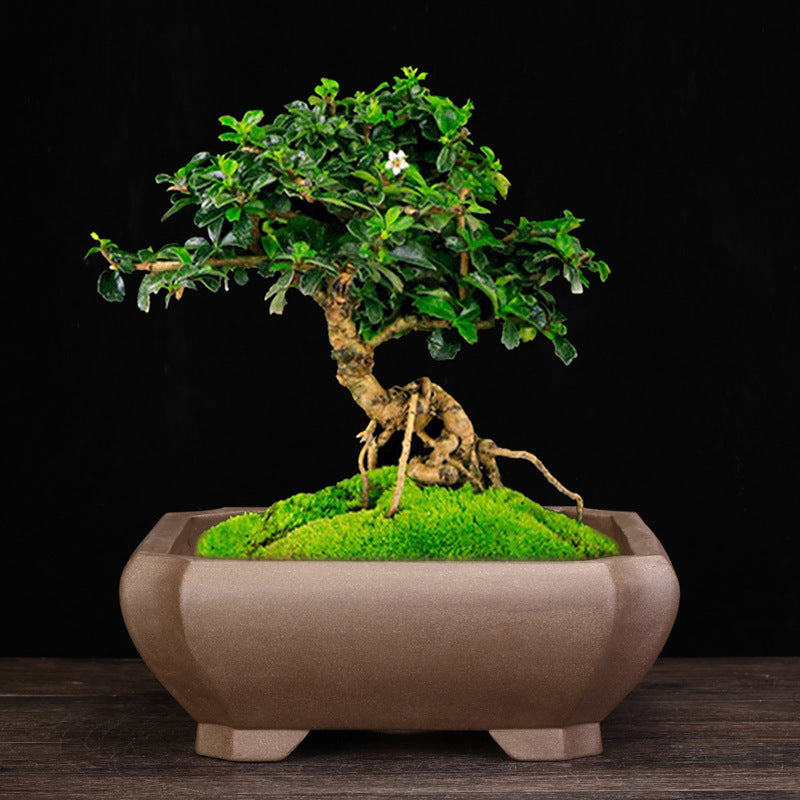 Handmade Chinese Style Ceramic Stone Flower Pot for Garden & Home