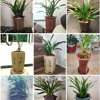 Universal Oversized Purple Sand Planter  Stone Floor Flower Pot