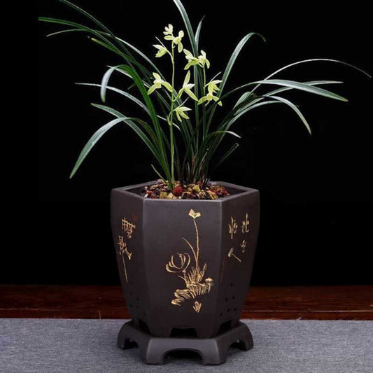Classical Purple Sand Hexagonal and Carved Pots for Home Gardening