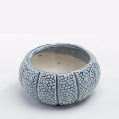 Stone Ocean Decor Set  Fish Coral Starfish Shell Pieces