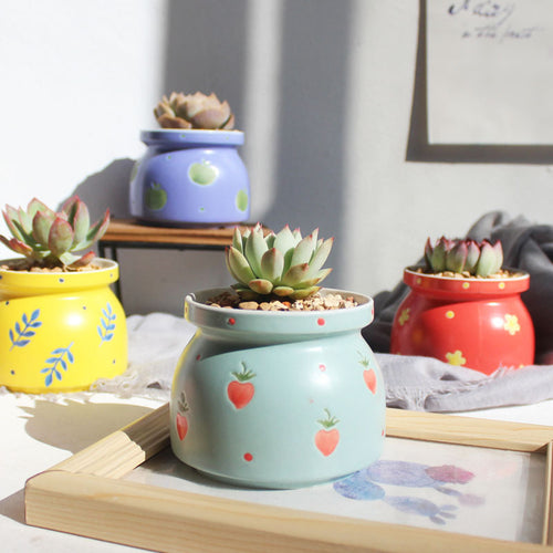 Colorful Ceramic Mini Planter  Stylish Long Lasting Stone Flower Pot