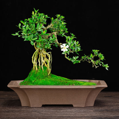 Handmade Chinese Style Ceramic Stone Flower Pot for Garden & Home