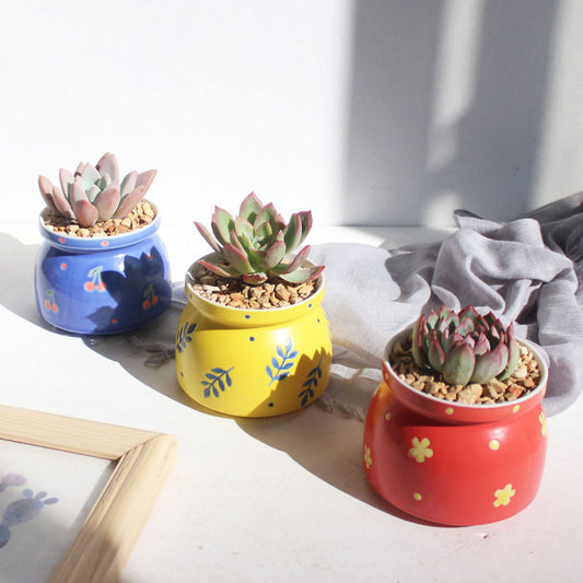 Colorful Ceramic Mini Planter  Stylish Long Lasting Stone Flower Pot