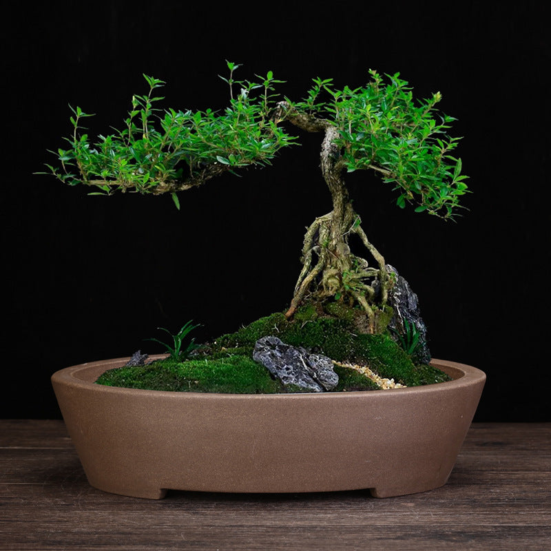 Handmade Chinese Style Ceramic Stone Flower Pot for Garden & Home